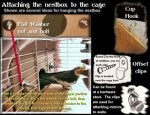 Birdiness-Nesting-fasteners-ILLUS.jpg