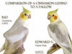 Comparison-fallow-CL.jpg