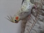20180729_173946.jpg