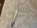 20180729_180222.jpg